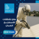 علاج تشققات الأسطح مع الضمان