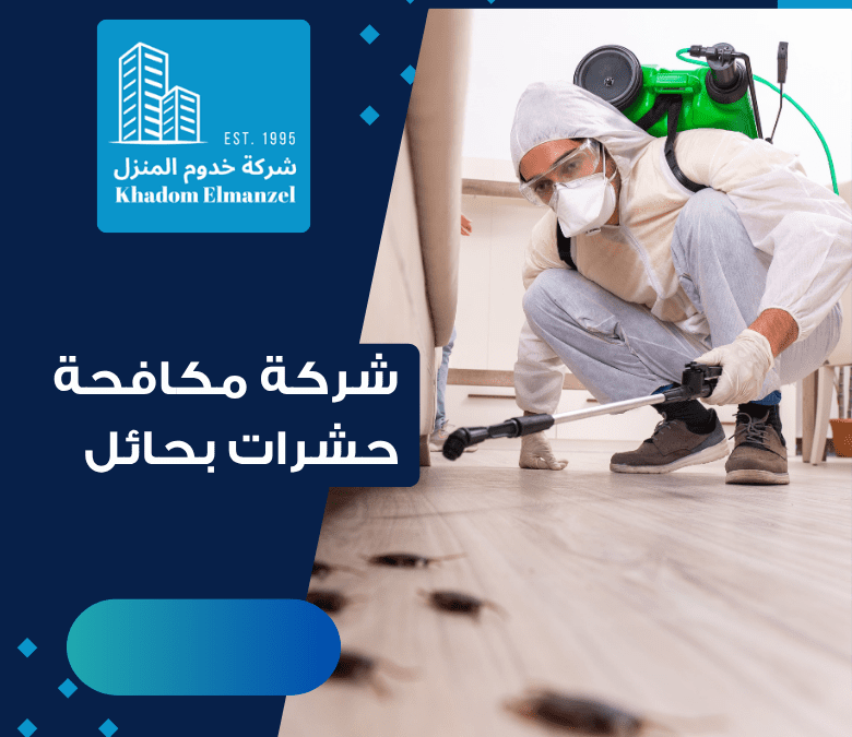 شركة مكافحة حشرات بحائل