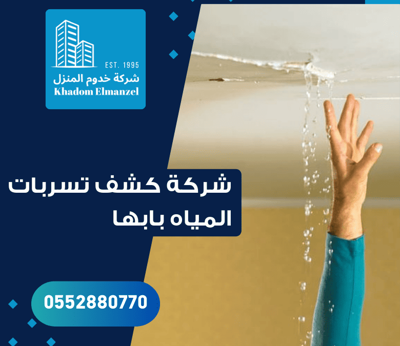 شركة كشف تسربات المياه بابها